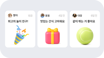 프로필에 쌓이는 신뢰