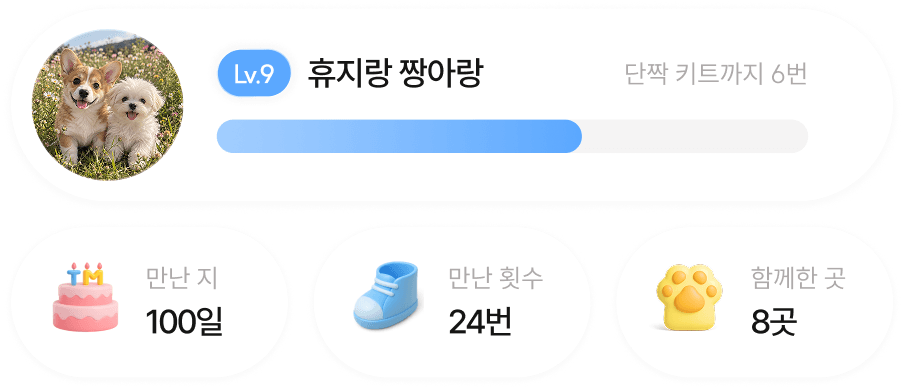 친밀도 레벨, 만난 지 100일, 만남 횟수 24번, 함께한 곳 8곳을 보여주는 친구 정보