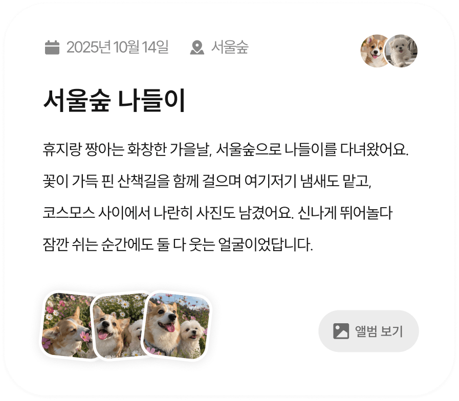 함께한 사진과 모임 맥락을 바탕으로 작성한 서울숲 나들이 이야기